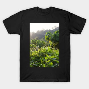 Kuala Tahan - Malaysia T-Shirt